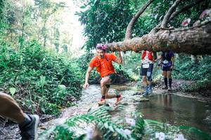 BIB: 
                            <button type="button" onclick="openModal(25441663)" class="btn btn-primary btn-sm float-right btn-popup" data-toggle="modal" data-target=".modal-high-quality">
                        <i class="fas fa-shopping-cart"></i> Add to Cart
                    </button>
                                            <button type="button" onclick="isThisMe(25441663, true)" class="btn btn-success btn-sm float-right btn-popup btn-isme hidden" data-toggle="tooltip" data-placement="bottom" title="นี่คือรูปของคุณใช่ไหม คลิกที่นี่เพื่อเอาเข้าอัลบั้ม">
                        <i class="fas fa-plus"></i> Add to album
                    </button>
                    <button type="button" onclick="isThisMe(25441663, false)" class="btn btn-warning btn-sm float-right btn-popup btn-isnotme hidden">
                        <i class="fas fa-ban"></i> Remove from album
                    </button>